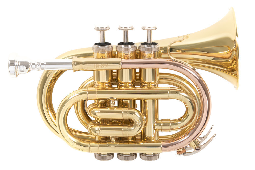 Trąbka kieszonkowa Bb (Pocket Trumpet) - ROY BENSON - PT-101