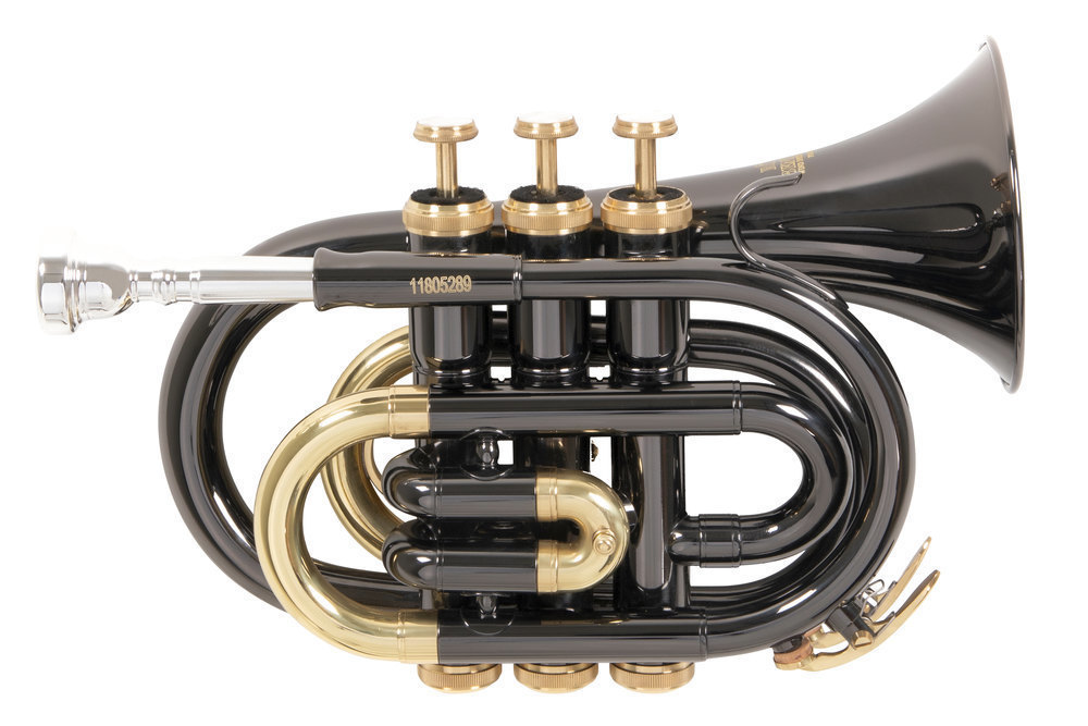 Trąbka kieszonkowa Bb (Pocket Trumpet) - ROY BENSON - PT-101K