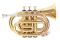 Trąbka kieszonkowa Bb (Pocket Trumpet) - ROY BENSON - PT-101