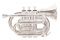 Trąbka kieszonkowa Bb (Pocket Trumpet) - ROY BENSON - PT-101 S