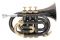 Trąbka kieszonkowa Bb (Pocket Trumpet) - ROY BENSON - PT-101K