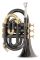 Trąbka kieszonkowa Bb (Pocket Trumpet) - ROY BENSON - PT-101K