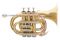 Trąbka kieszonkowa Bb (Pocket Trumpet) - ROY BENSON - PT-302 - DUŻA CZARA