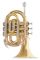 Trąbka kieszonkowa Bb (Pocket Trumpet) - ROY BENSON - PT-302 - DUŻA CZARA