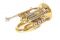 Trąbka kieszonkowa Bb (Pocket Trumpet) - ROY BENSON - PT-302 - DUŻA CZARA