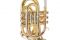 Trąbka kieszonkowa Bb (Pocket Trumpet) - ROY BENSON - PT-302 - DUŻA CZARA