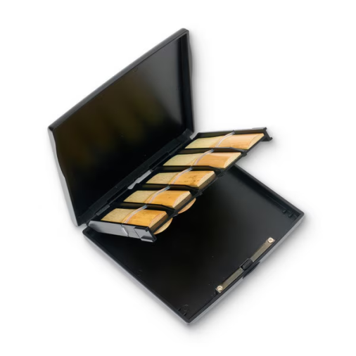 Etui na stroiki PROTEC A255